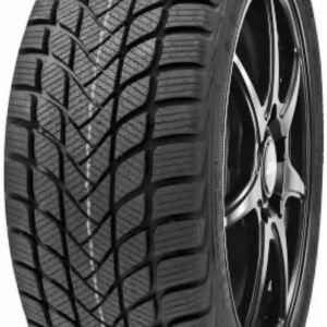 Delinte Winter WD6 225/55 R16 99V XL