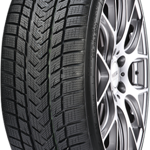 Gripmax SureGrip Pro Winter 255/45 R19 104V