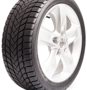 Landsail Winter Lander 205/55 R16 91H